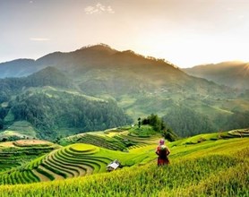 Hanoi to Central Vietnam Package Tours