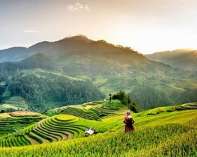 Hanoi to Central Vietnam Package Tours