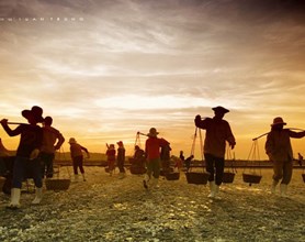 Danang To North Vietnam Tours