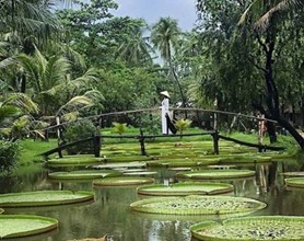 Ho Chi Minh City To North Vietnam Package Tours