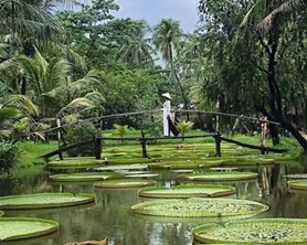 Ho Chi Minh City To North Vietnam Package Tours
