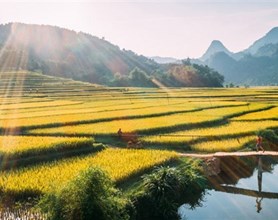 Pu Luong Tours
