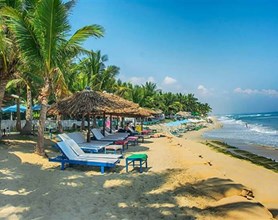 Danang Tours