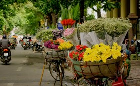 Essential Vietnam Tour Package: 7 Days