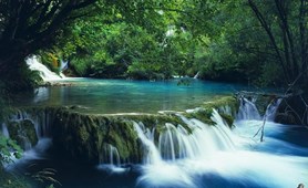 Stunning Bac Ma National Park Tour: Full Day from Hue