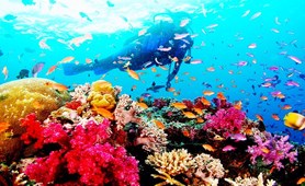 Amazing Central to South Vietnam Package Tour: 11 days