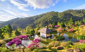 Impressive South Vietnam & Dalat Package Tour: 5 days