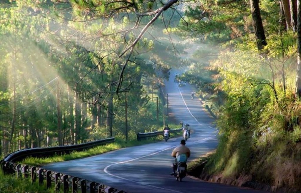Impressive South Vietnam & Dalat Package Tour: 5 days