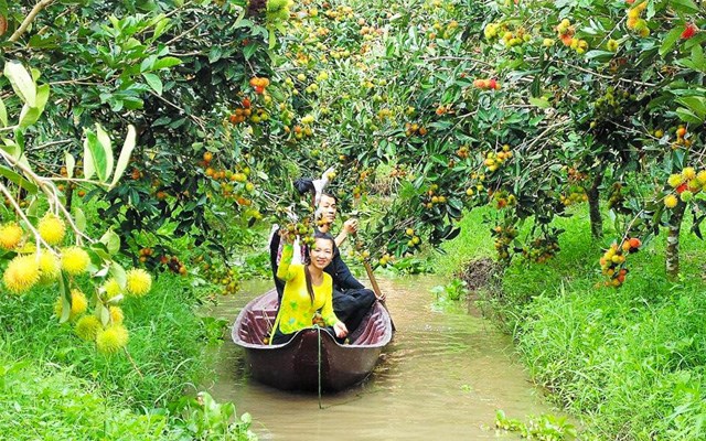Ultimate South Vietnam Package Tour: 4 Days