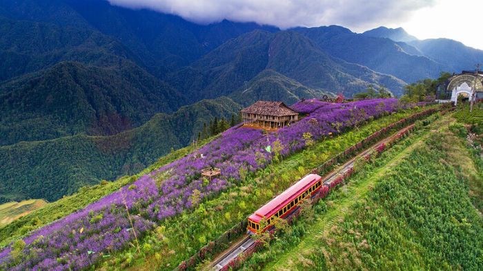 Vietnam Discovery Tour – 14 Days from South (HCM)