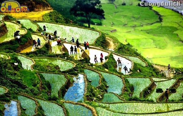 Hanoi – Halong – Sapa Fansipan & O Quy Ho Tour: 6 days