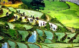 Hanoi – Halong – Sapa Fansipan & O Quy Ho Tour: 6 days