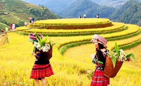 Magnificent Easy Trekking Mu Cang Chai Tour: 2 days
