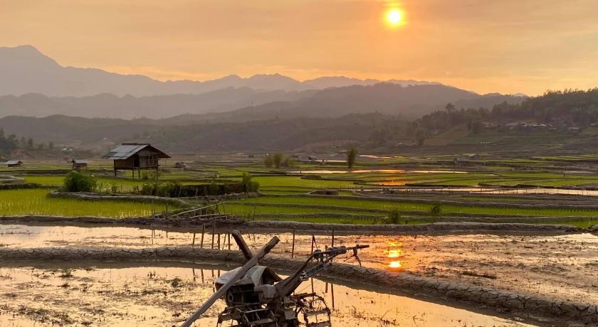 Magnificent Easy Trekking Mu Cang Chai Tour: 2 days