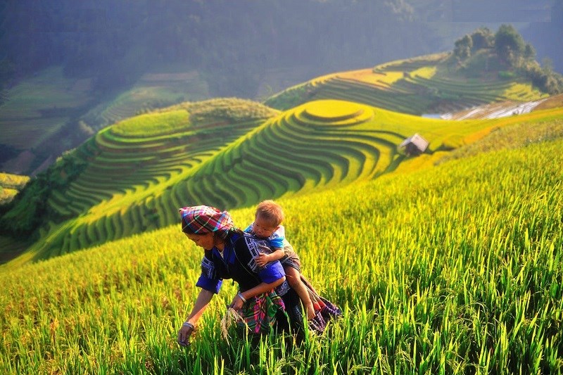 Truly Beautiful Hanoi – Mu Cang Chai Tour: 3 days