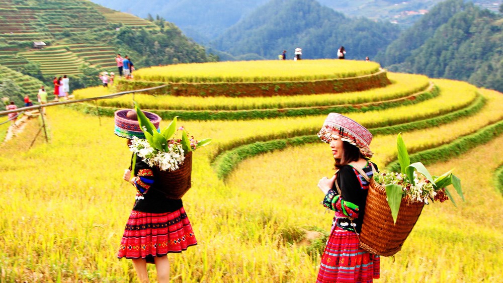 Spectacular View of Sapa – Mu Cang Chai: 4 days