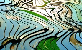 Sapa Easy Trekking & Homestay Tour: 3 Days