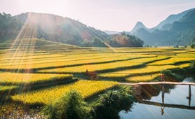 Pu Luong – Ninh Binh Retreat – Easy Trekking Tour: 3 Days