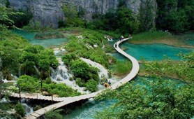 Danang – Hoi An – Bach Ma Park – Hue: 4 days