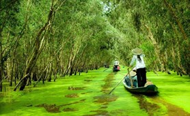 Vietnam Hidden Charm Tour Package:12 Days